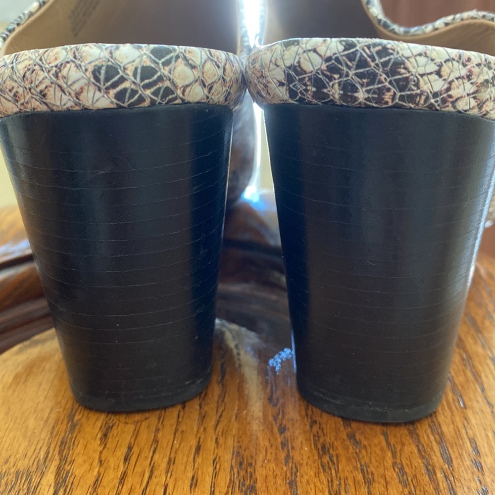 Able Mules - image 4